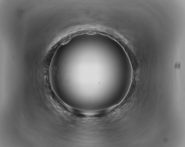X0000091061496200708061231
