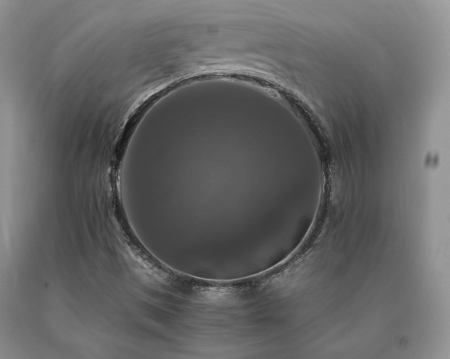 X0000091061497200708061231