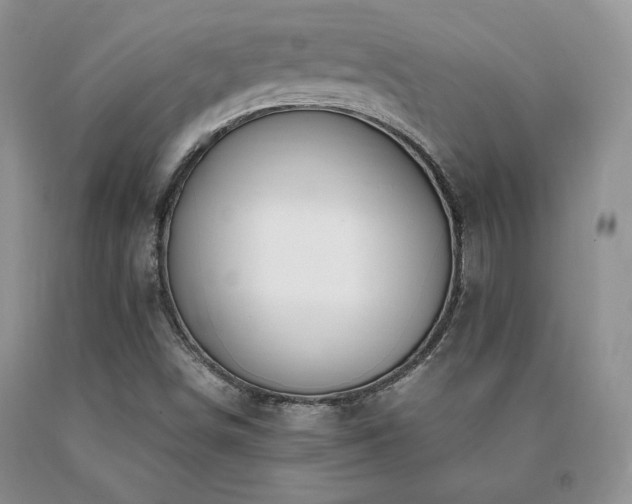X0000091061498200708061232