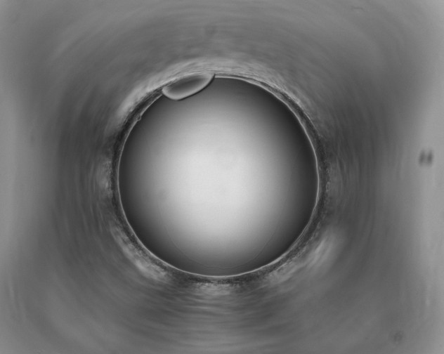 X0000091061499200708061232