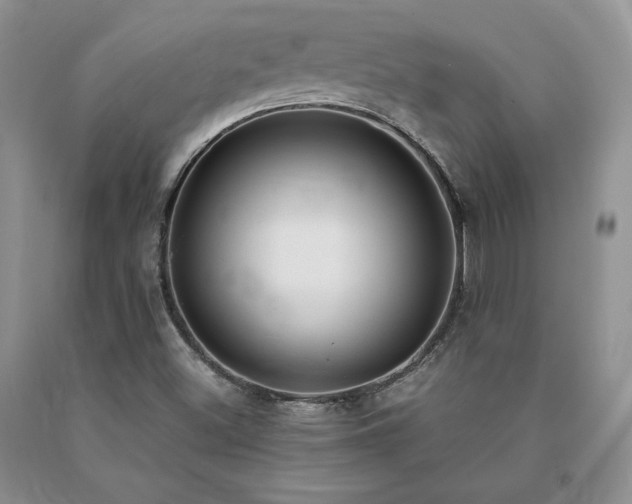 X0000091061500200708061232