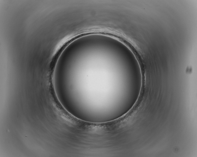 X0000091061501200708061232