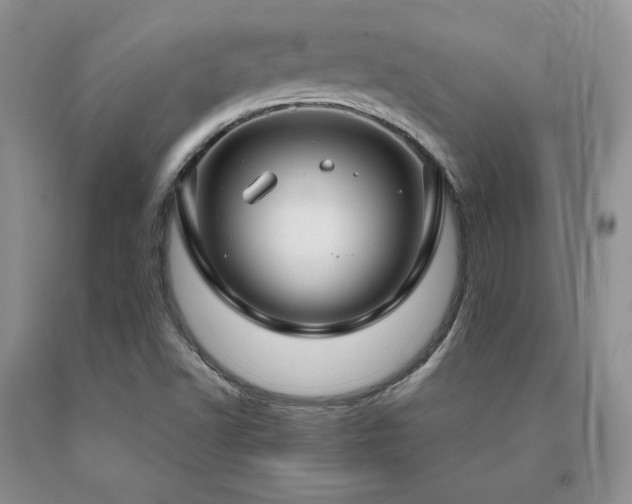 X0000091061502200708061232