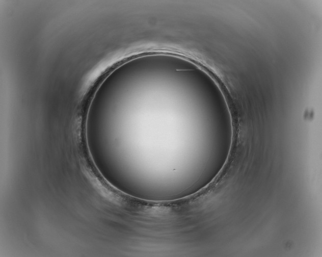 X0000091061503200708061232