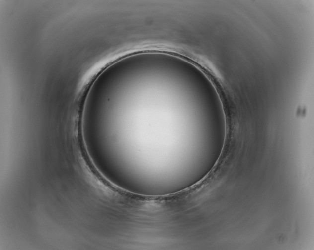 X0000091061504200708061232