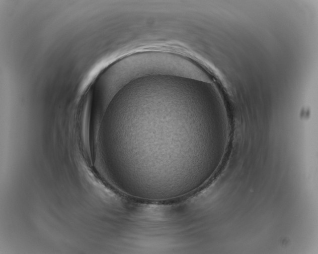 X0000091061506200708061232