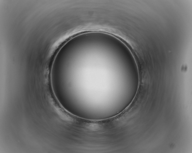 X0000091061507200708061232