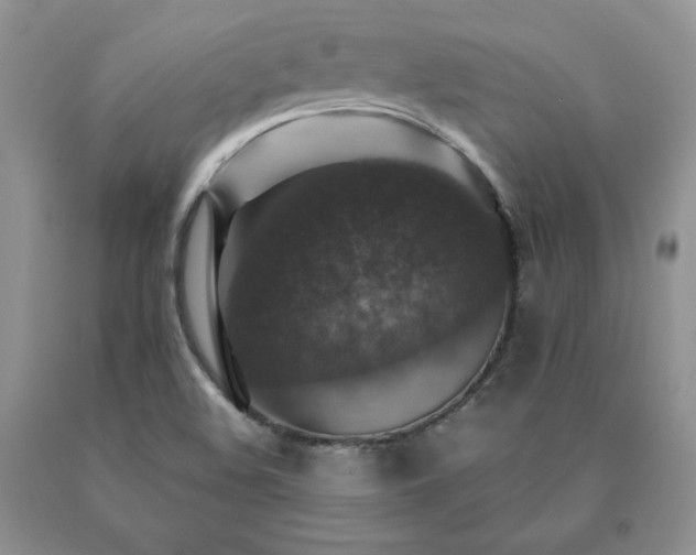 X0000091061508200708061232