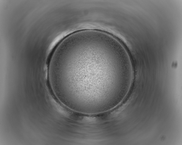 X0000091061509200708061232