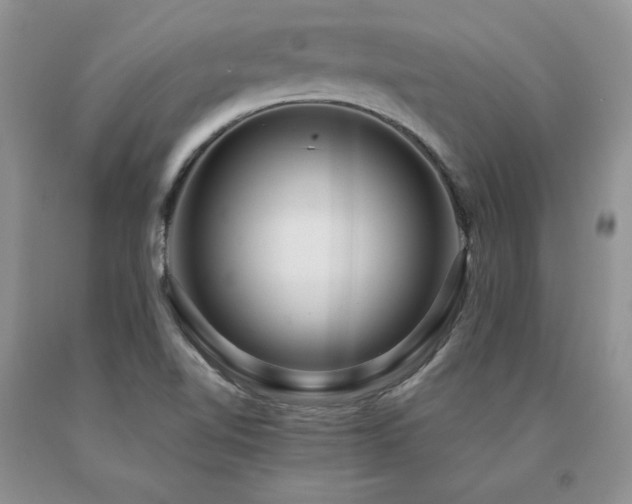 X0000091061510200708061232