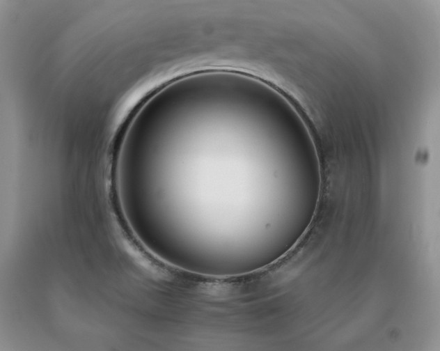 X0000091061511200708061232