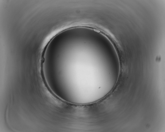 X0000091061512200708061232