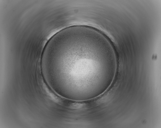 X0000091061513200708061232