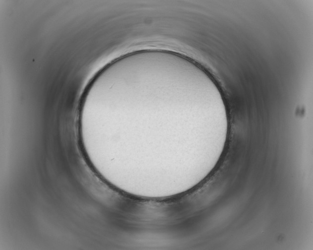 X0000091061514200708061232