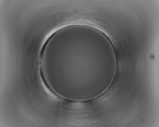 X0000091061515200708061232