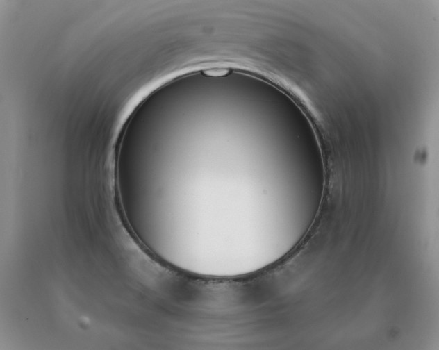 X0000091061516200708061232