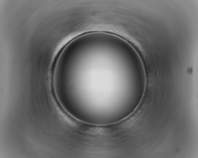 X0000091061517200708061232