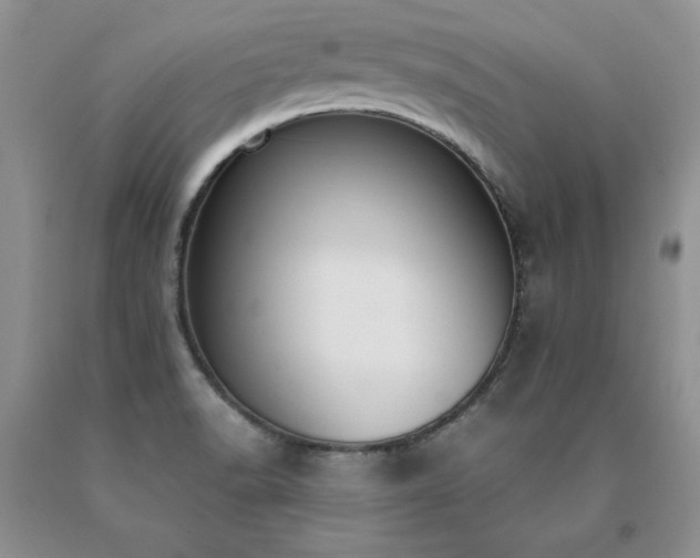 X0000091061518200708061232
