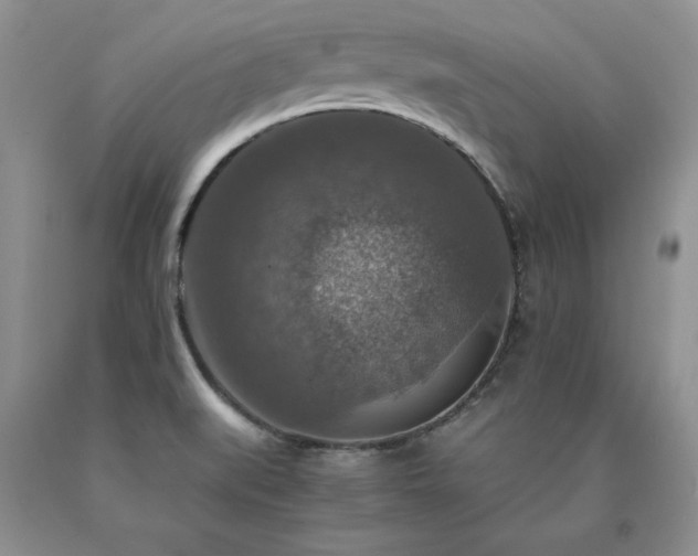 X0000091061519200708061232