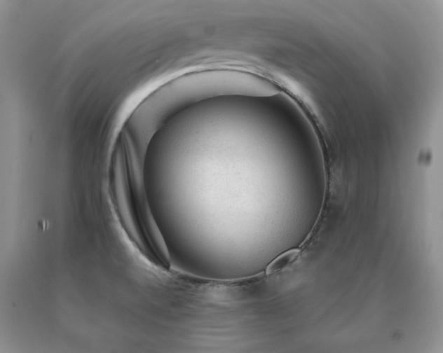 X0000091061520200708061232