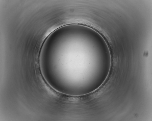 X0000091061521200708061232