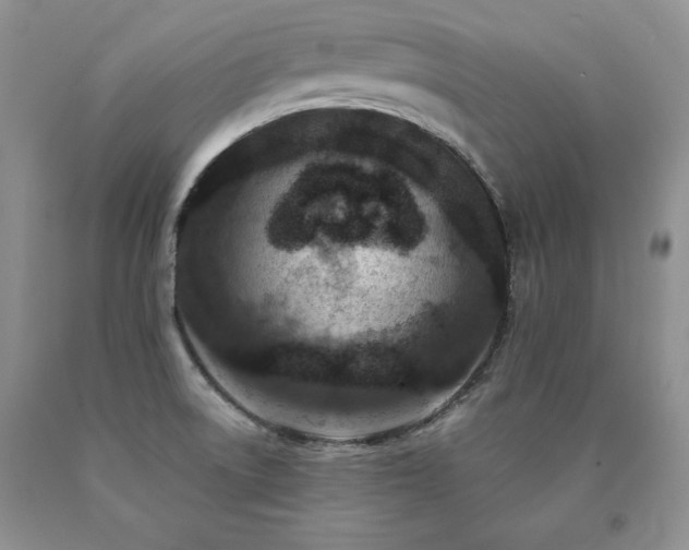 X0000091061522200708061232