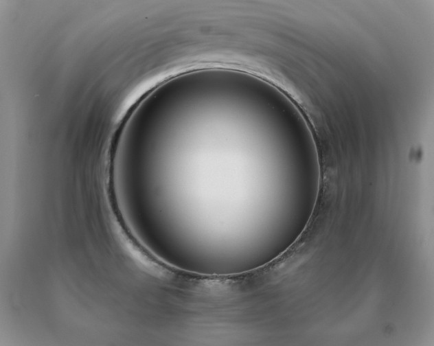X0000091061523200708061232