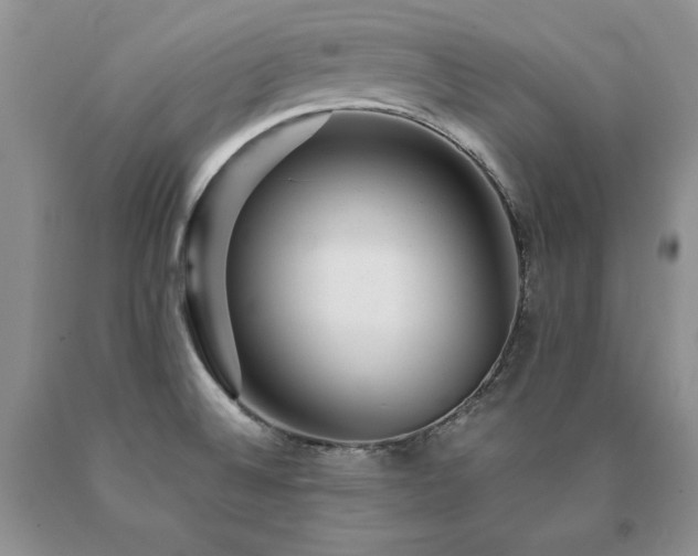 X0000091061524200708061232