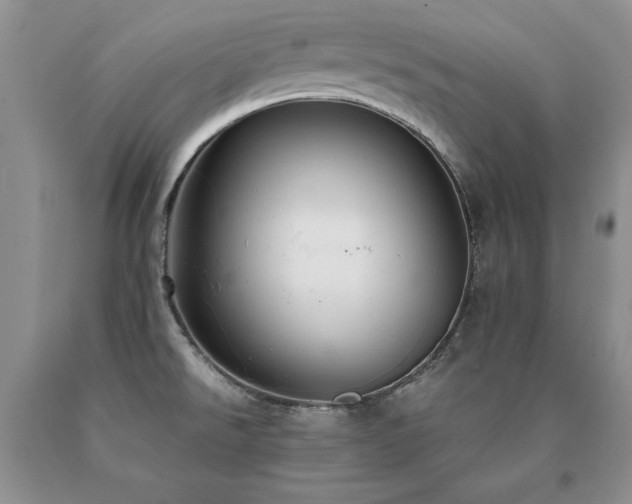 X0000091061526200708061232