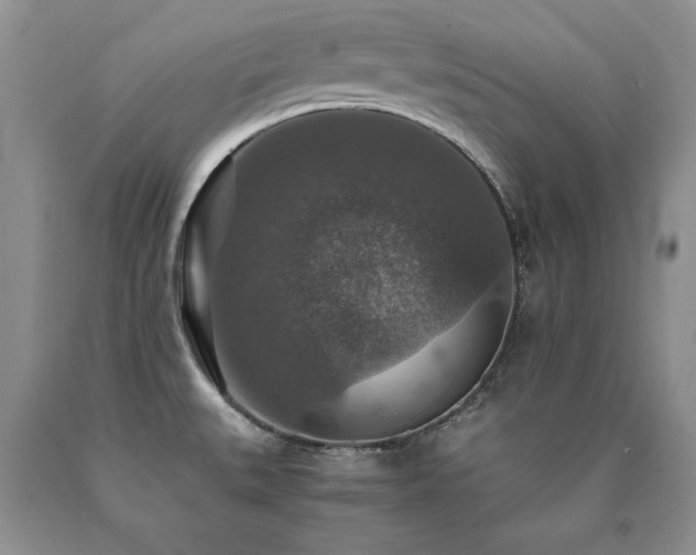 X0000091061527200708061232
