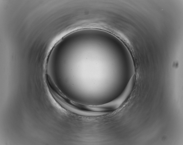 X0000091061528200708061232