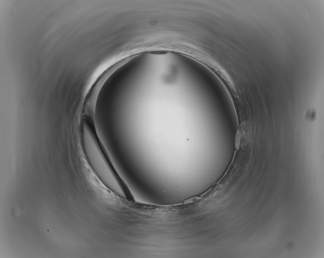 X0000091061530200708061232