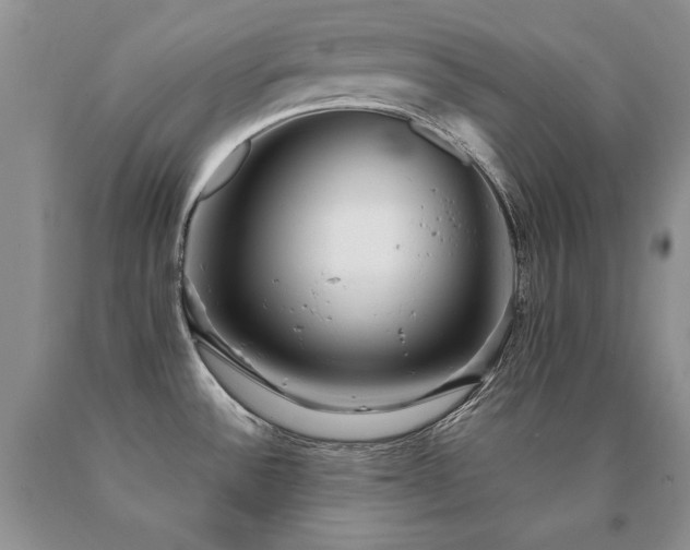 X0000091061532200708061232