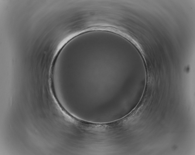 X0000091061533200708061232