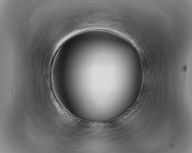 X0000091061534200708061232