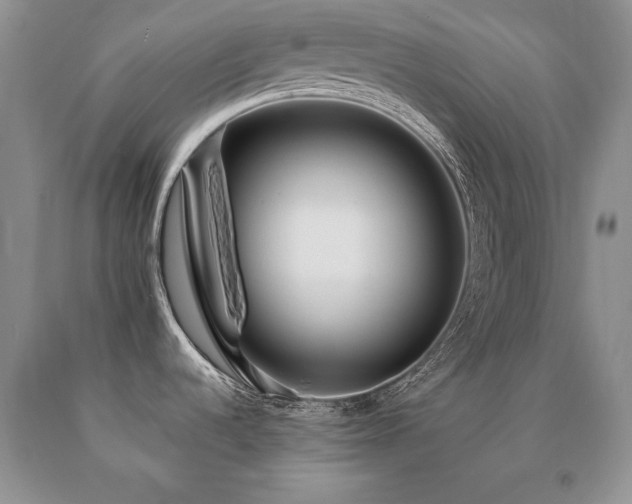 X0000091061536200708061232