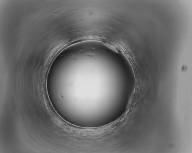 X0000091060001200708131141