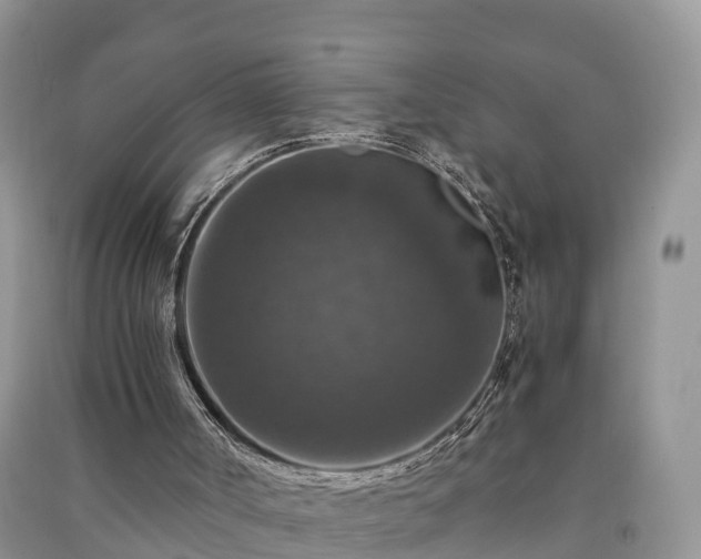 X0000091060002200708131141