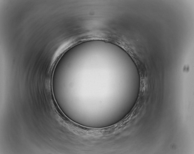 X0000091060004200708131140