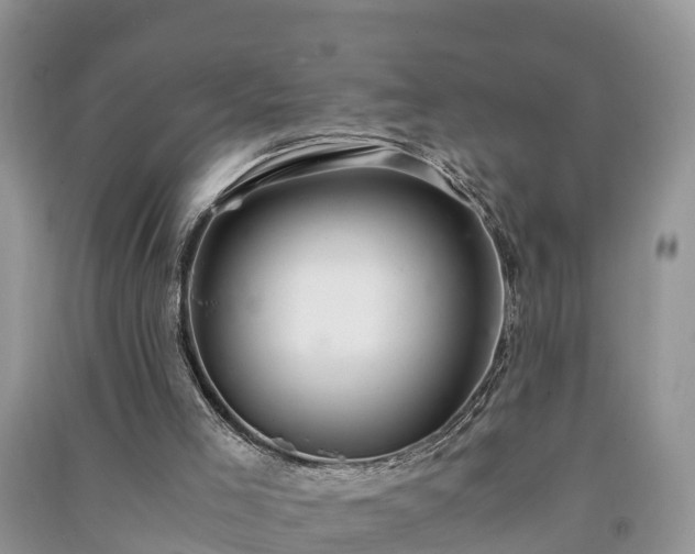 X0000091060005200708131140