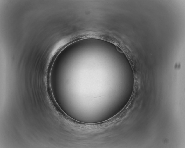 X0000091060006200708131140