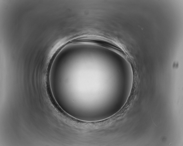 X0000091060007200708131140