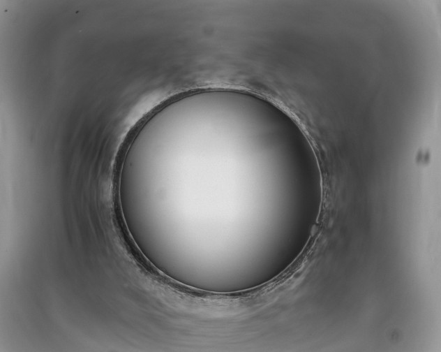 X0000091060008200708131140