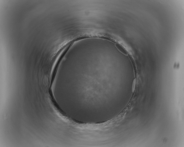 X0000091060009200708131140