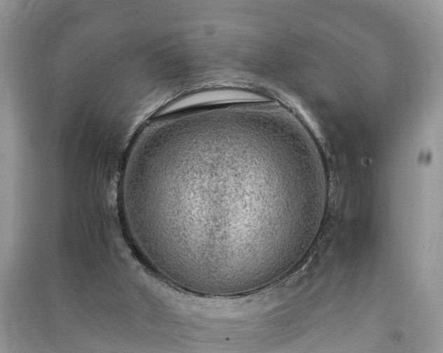 X0000091060010200708131140