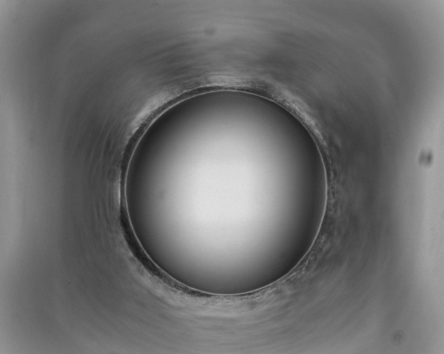 X0000091060011200708131140