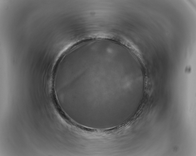 X0000091060012200708131140