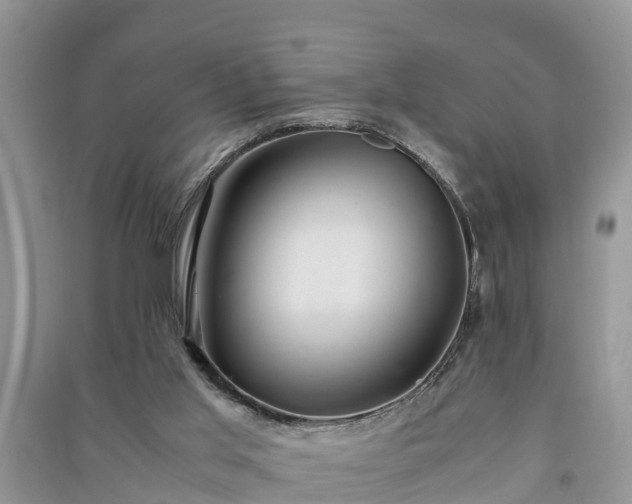 X0000091060013200708131140