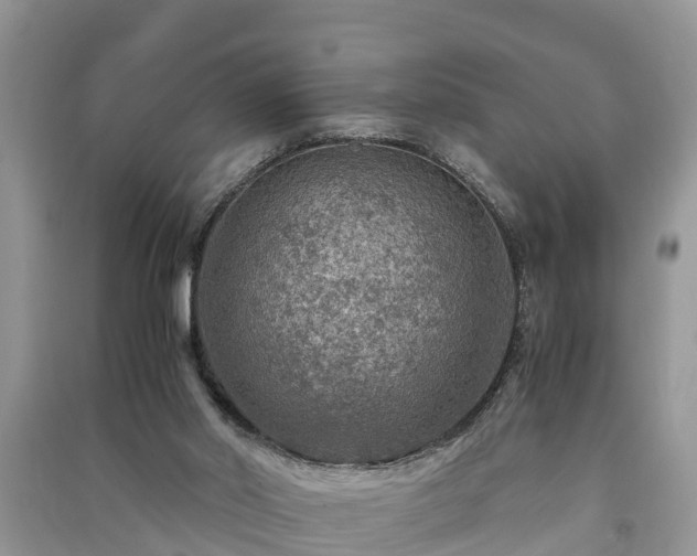 X0000091060014200708131140