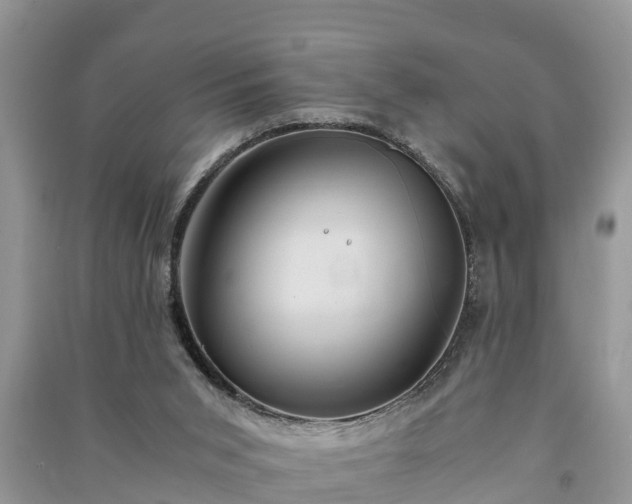 X0000091060015200708131140